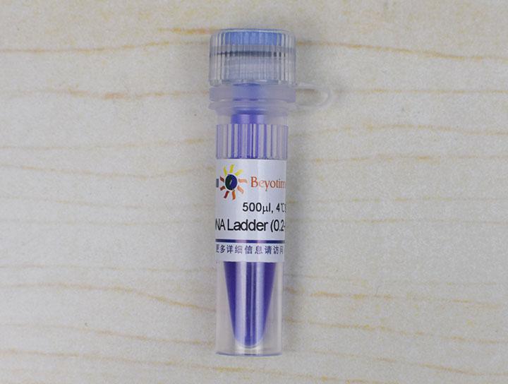 DNA Ladder (0.2-12 kb, 12 bands)